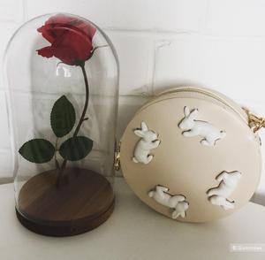 Сумка Jingjinji