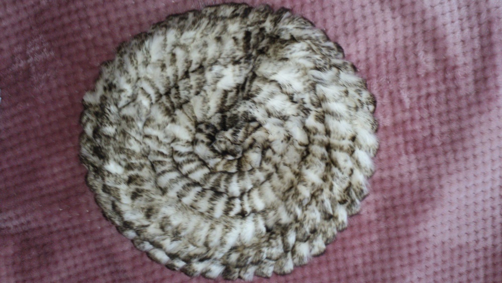 Берет, размер 55-60