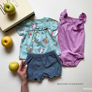 Комплект Carters 12M