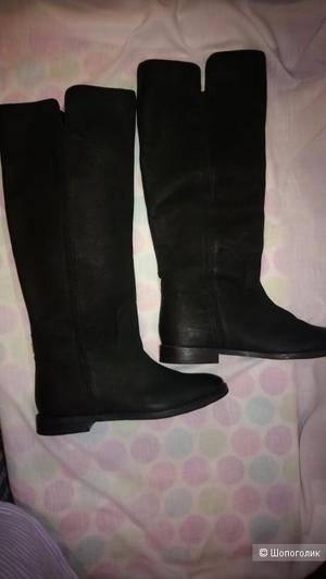 Сапоги  Ted Baker 7us