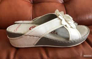 Шлепки Crocodile размер 39