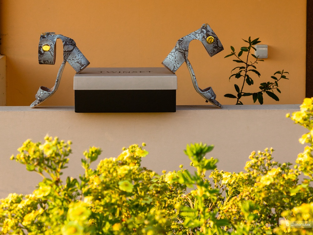 Сандалии  (босоножки) TWINSET размер 40