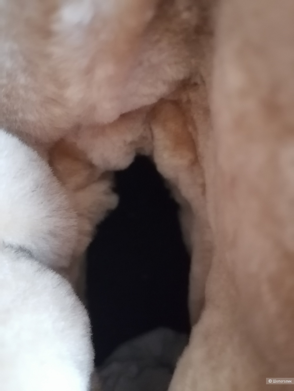 Сапоги Federica Lancioni. 36-37 р