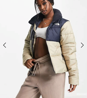 Пуховик The North Face  Saikuru  L