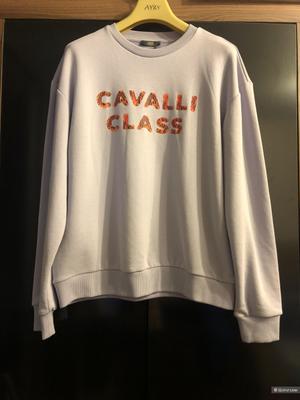 Свитшот Cavalli Class 46-50