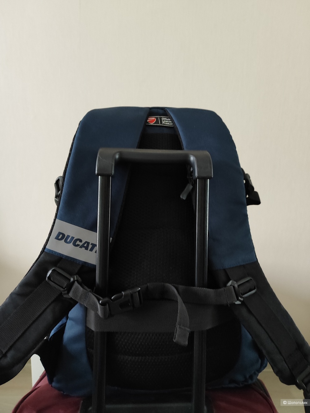 Рюкзак DUCATI